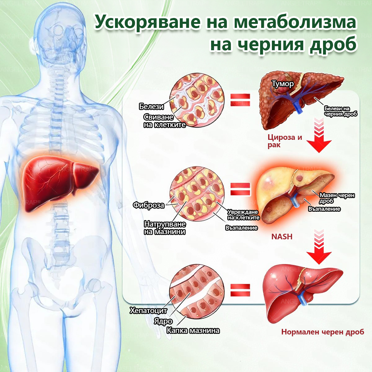 🎁 Останаха само 5 кутии! Предлагаме ви допълнителна отстъпка от 50%! Възползвайте се и бъдете в форма и здрави. Пропуснете сега и няма да имате друга възможност до следващата година.