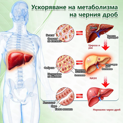 🎁 Останаха само 5 кутии! Предлагаме ви допълнителна отстъпка от 50%! Възползвайте се и бъдете в форма и здрави. Пропуснете сега и няма да имате друга възможност до следващата година.