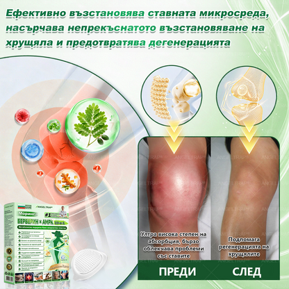 🎁 Останаха само 5 кутии! Предлагаме ви допълнителна отстъпка от 50%! Възползвайте се и бъдете в форма и здрави. Пропуснете сега и няма да имате друга възможност до следващата година.