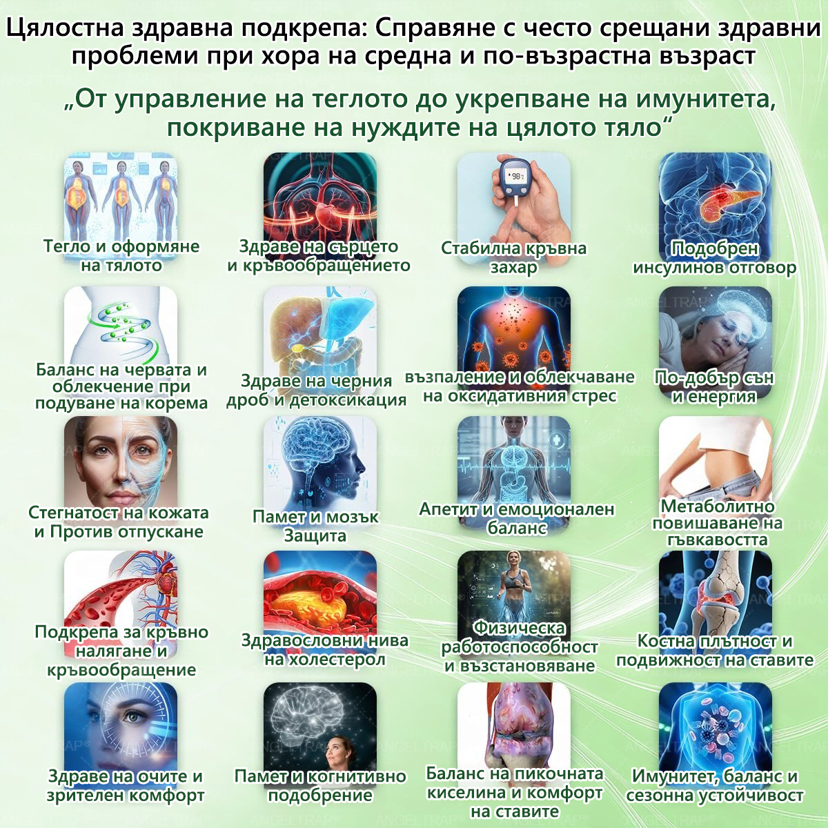 🎁 Останаха само 5 кутии! Предлагаме ви допълнителна отстъпка от 50%! Възползвайте се и бъдете в форма и здрави. Пропуснете сега и няма да имате друга възможност до следващата година.