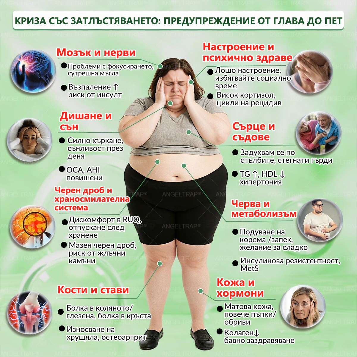 🎁 Останаха само 5 кутии! Предлагаме ви допълнителна отстъпка от 50%! Възползвайте се и бъдете в форма и здрави. Пропуснете сега и няма да имате друга възможност до следващата година.